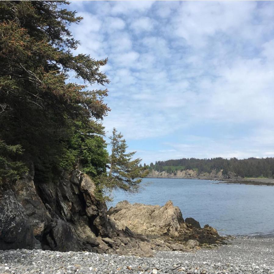 Sea Parrot Inn Seldovia エクステリア 写真